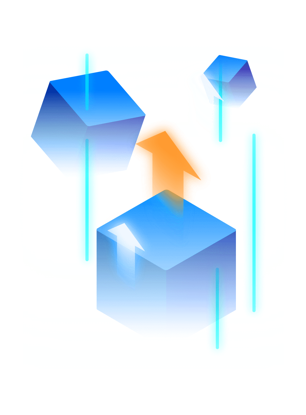 Software